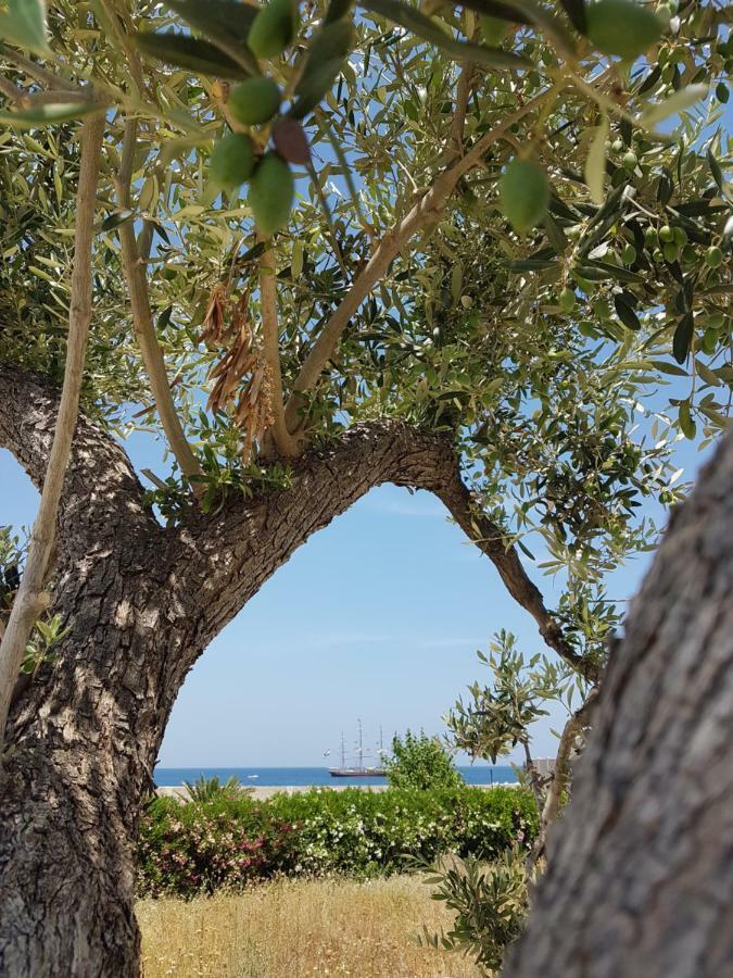 Bed & Breakfast Del Faro Giovinazzo Zewnętrze zdjęcie