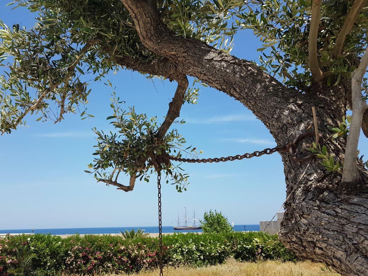 Bed & Breakfast Del Faro Giovinazzo Zewnętrze zdjęcie